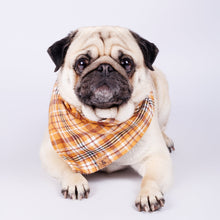 Load image into Gallery viewer, salted caramel flannel dog bandana
