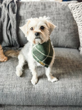 Load image into Gallery viewer, celtic plaid dog bandana
