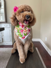Load image into Gallery viewer, plumeria bliss dog bandana

