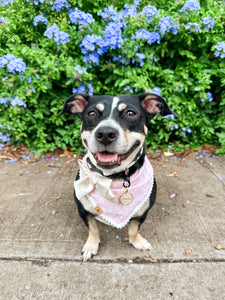 pink gardenia dog bandana