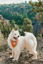 Load image into Gallery viewer, dulce de leche flannel dog bandana
