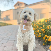 Load image into Gallery viewer, dulce de leche letterman dog bandana
