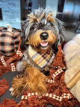 Load image into Gallery viewer, shaken expresso flannel dog bandana
