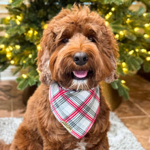 Load image into Gallery viewer, frosted plaid dog bandana
