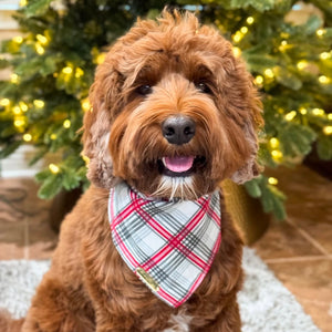 frosted plaid dog bandana