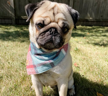 Load image into Gallery viewer, sugar plum flannel dog bandana
