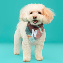 Load image into Gallery viewer, sugar plum flannel letterman dog bandana

