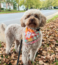 Load image into Gallery viewer, cinnamon toast letterman dog bandana
