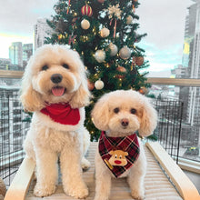 Load image into Gallery viewer, cardinal plaid dog bandana
