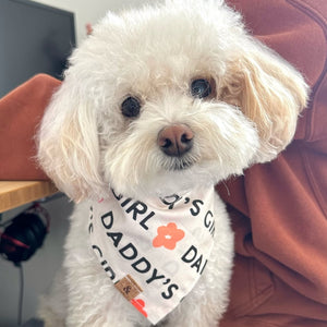 always daddy's girl dog bandana