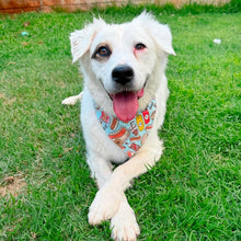 Load image into Gallery viewer, summer BBQ dog bandana
