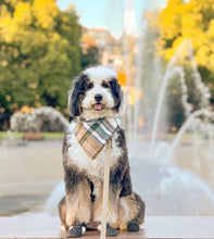 Load image into Gallery viewer, caramel apple flannel dog bandana
