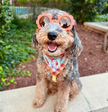 Load image into Gallery viewer, cinnamon toast letterman dog bandana
