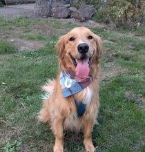 Load image into Gallery viewer, sugar plum flannel letterman dog bandana
