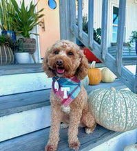 Load image into Gallery viewer, sugar plum flannel letterman dog bandana
