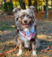 Load image into Gallery viewer, sugar plum flannel letterman dog bandana
