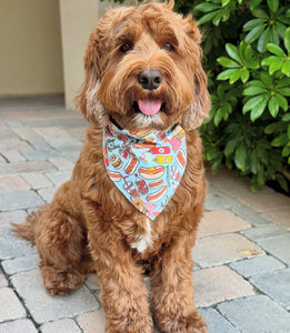 summer BBQ dog bandana