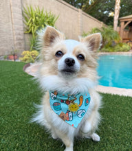 Load image into Gallery viewer, you&#39;re my soymate dog bandana
