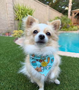 you're my soymate dog bandana