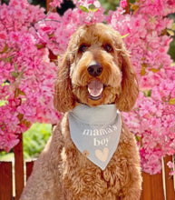 Load image into Gallery viewer, mama&#39;s boy blue gauze dog bandana

