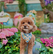 Load image into Gallery viewer, blueberry yogurt with bunny plaid dog bandana
