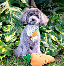 Load image into Gallery viewer, LAST CHANCE: hop to it dog bandana
