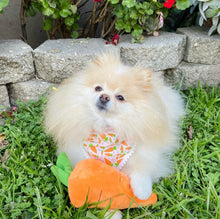 Load image into Gallery viewer, carrots &#39;n cuddles dog bandana
