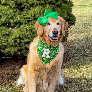 fur leaf clover dog bandana