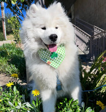 Load image into Gallery viewer, LAST CHANCE: green apple gingham dog bandana (S/M)
