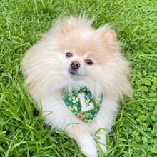 Load image into Gallery viewer, fur leaf clover dog bandana
