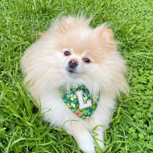 fur leaf clover dog bandana