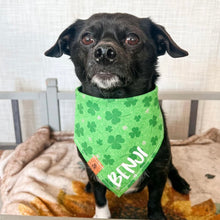 Load image into Gallery viewer, fur leaf clover dog bandana
