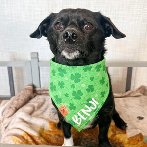 fur leaf clover dog bandana