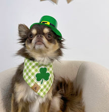 Load image into Gallery viewer, LAST CHANCE: green apple gingham dog bandana (S/M)
