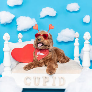 snowberry red tweed dog bandana
