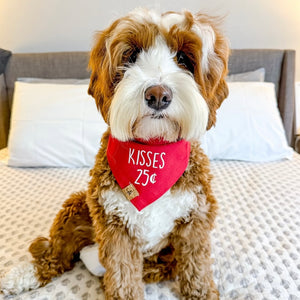 kisses dog bandana