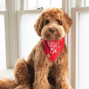 kisses dog bandana