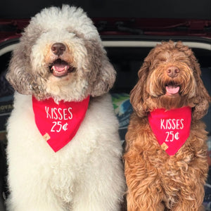 kisses dog bandana