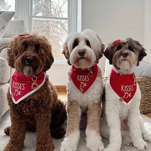 kisses dog bandana