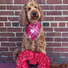 Load image into Gallery viewer, lover plaid dog bandana
