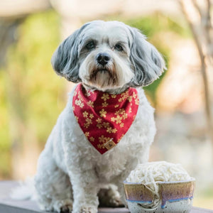 LNY blossoms dog bandana