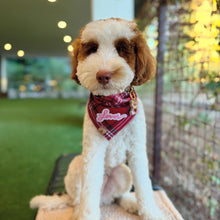 Load image into Gallery viewer, lover plaid dog bandana
