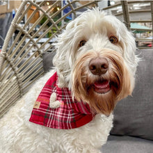 Load image into Gallery viewer, lover plaid dog bandana
