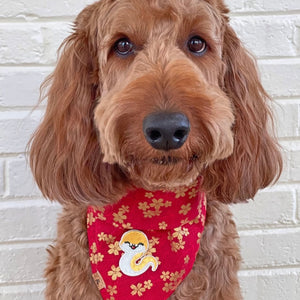 LNY snake blossoms dog bandana