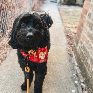 LNY snake blossoms dog bandana