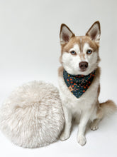 Load image into Gallery viewer, miss elliot dog bandana
