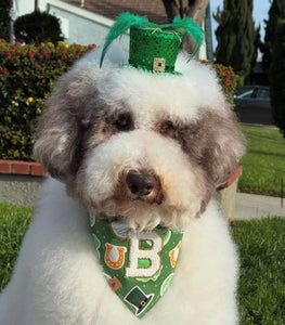 cookie clover crunch dog bandana