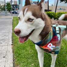 Load image into Gallery viewer, midnight amber flannel dog bandana
