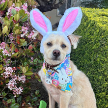 Load image into Gallery viewer, easter picnic dog bandana
