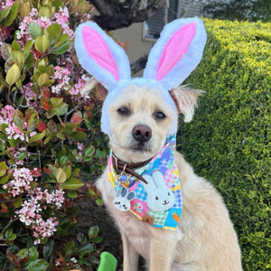 easter picnic dog bandana